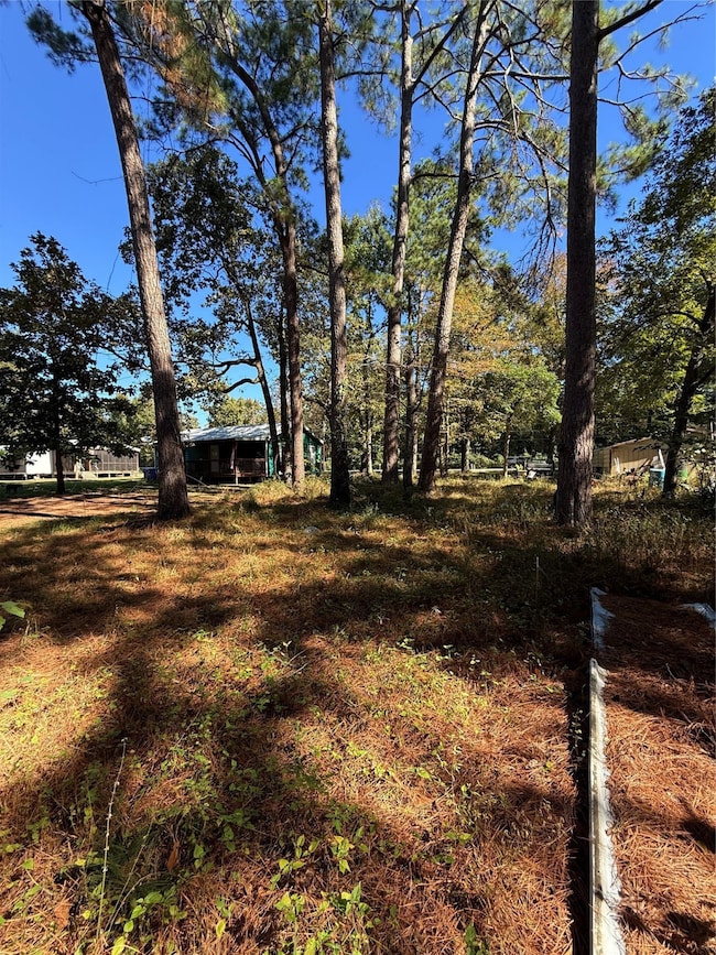 0 Alabama, Onalaska, TX 77360 - photo 4