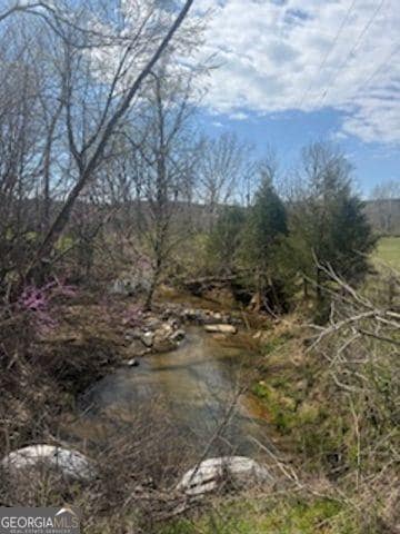 0 Salacoa Rd NE, Fairmount, GA 30139 - photo 3