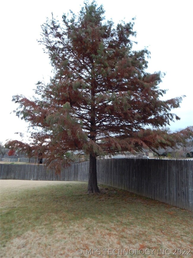 1009 W 120th St S, Jenks, OK 74037 - photo 5