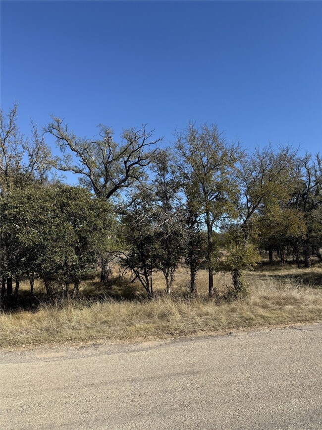 TBD Harbor Dr, Thunderbird Bay, TX 76857 - photo 6