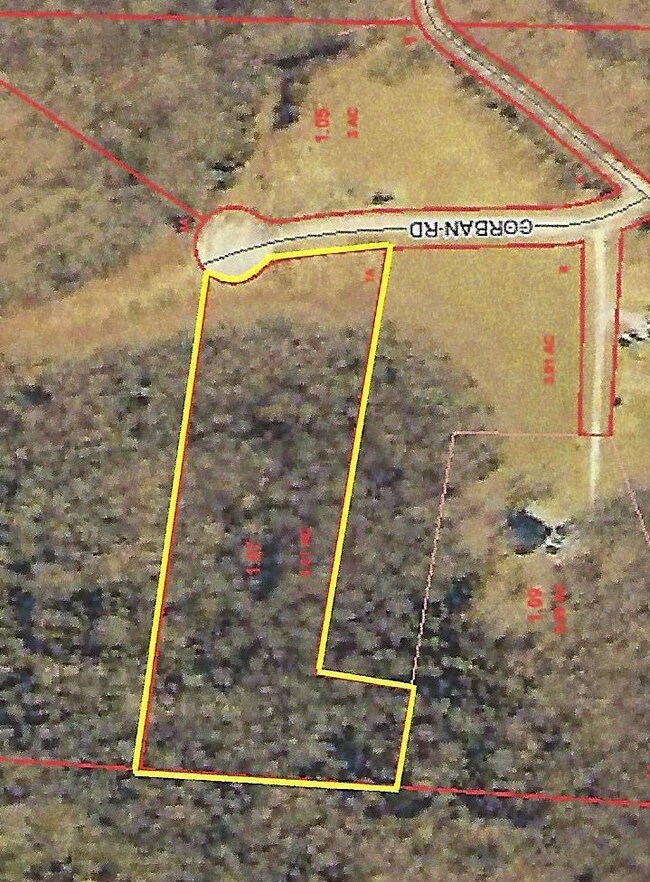 Lot 7