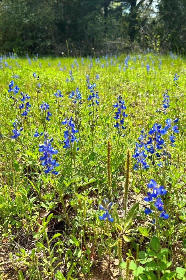 unlisted-address, Harwood, TX 78632 - photo 3