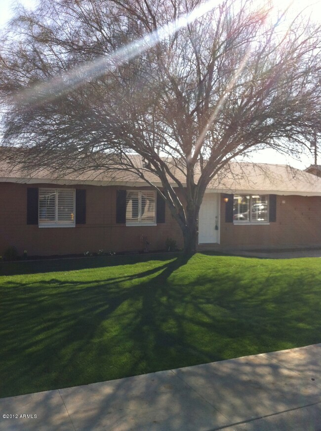 Front Yard