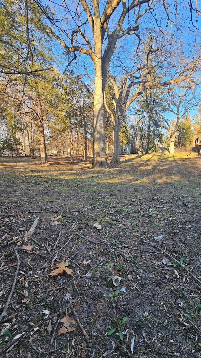 5920 Hodgson trees B.jpg