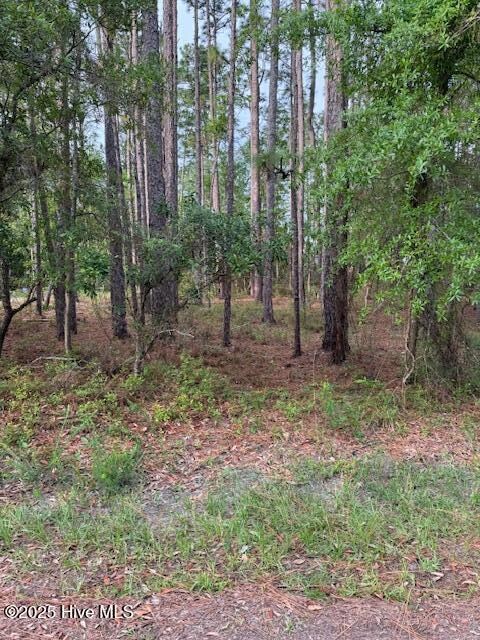 269 S High Point Rd, Boiling Spring Lakes, NC 28461 - photo 4