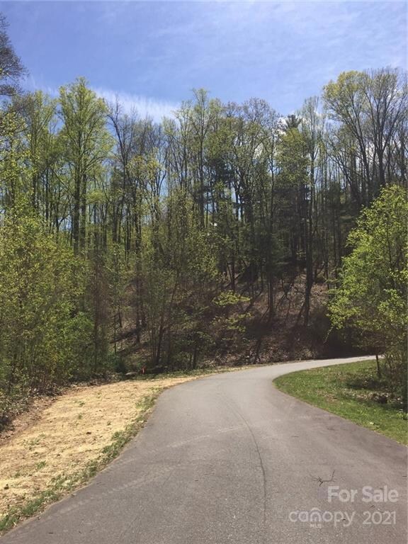 26 Forest Spring Dr unit 33A, Asheville, NC 28804 - photo 4