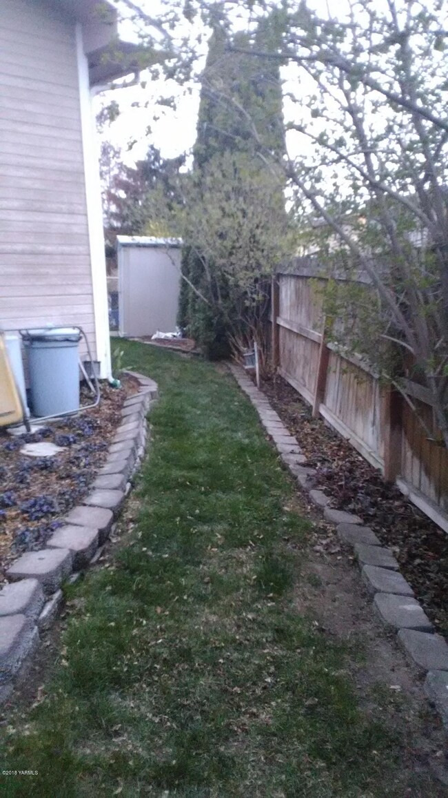 back path