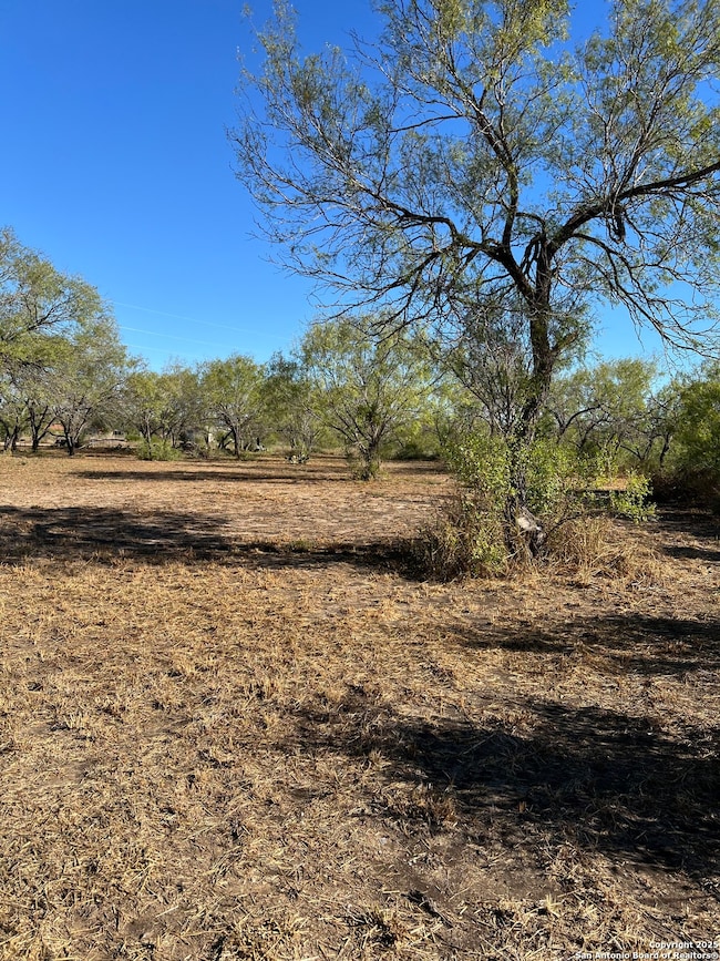 00 Mesquite and Mulberry, Jourdanton, TX 78026 - photo 2