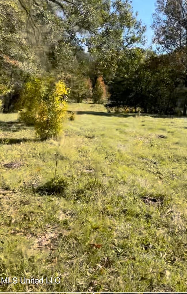1105 Chapman Rd, Utica, MS 39175 - photo 6