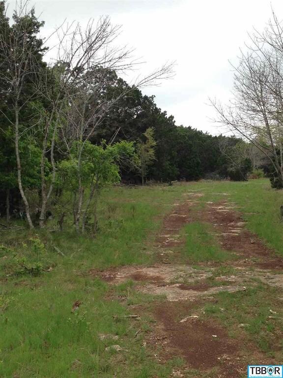 0 Kuykendall Mountain Rd unit 9112864, Temple, TX 76502 - photo 5