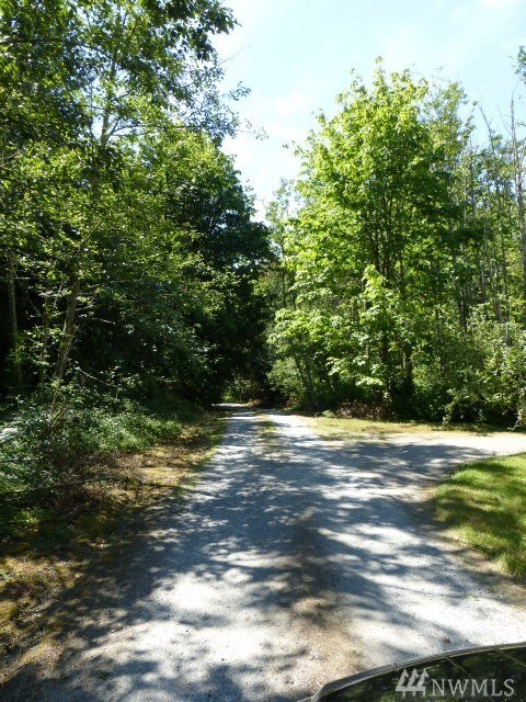 59 Noon Rd, Bellingham, WA 98226 - photo 4