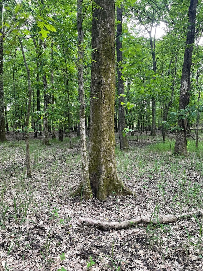 Highway 6, Marks, MS 38646 - photo 4