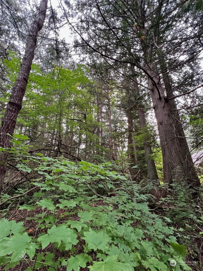 0 Lot 24 Georgia Ct, Point Roberts, WA 98281 - photo 3