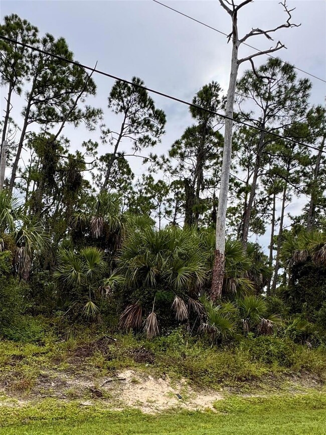 0 Sadnet Ln unit MFRC7514621, North Port, FL 34286 - photo 3