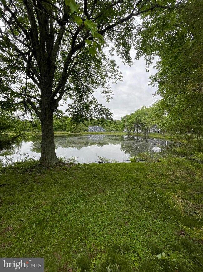 13519 Orchard Dr unit 3519, Clifton, VA 20124 - photo 4