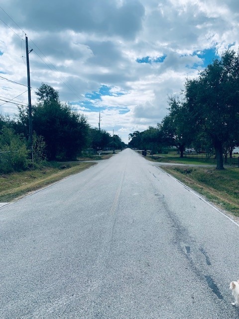 9018 Blueberry Ln, Houston, TX 77049 - photo 2