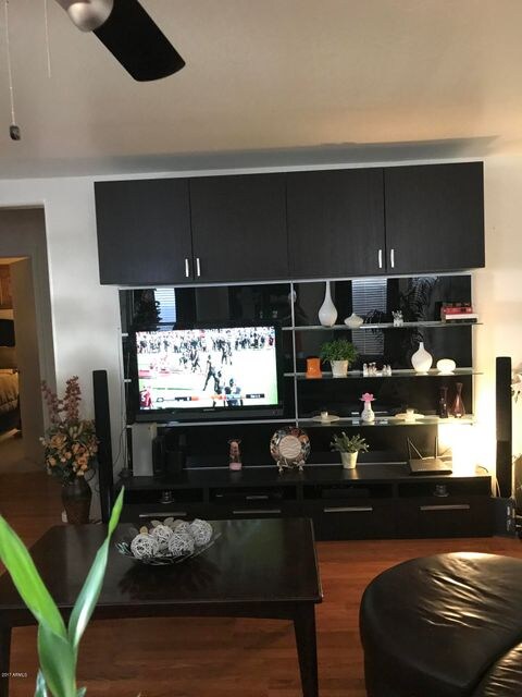 Entertainment Center (2)