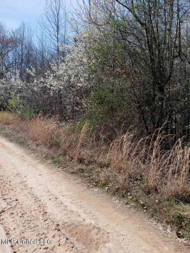 00 Petty Rd, Byhalia, MS 38611 - photo 3
