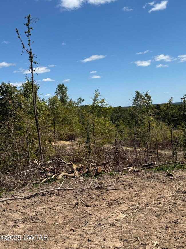 0 Whiskey Ridge Rd, Paris, TN 38242 - photo 5