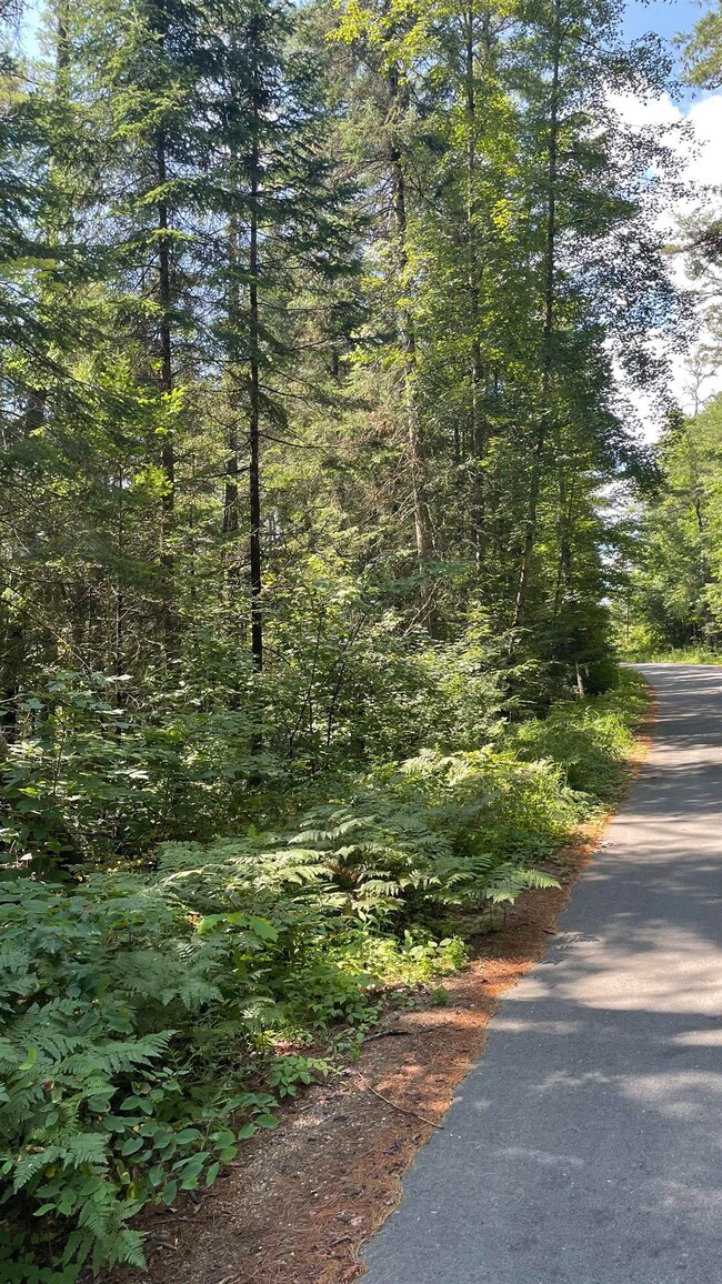 590 Bishop Rd unit 1-2, Lisbon, NH 03585 - photo 7