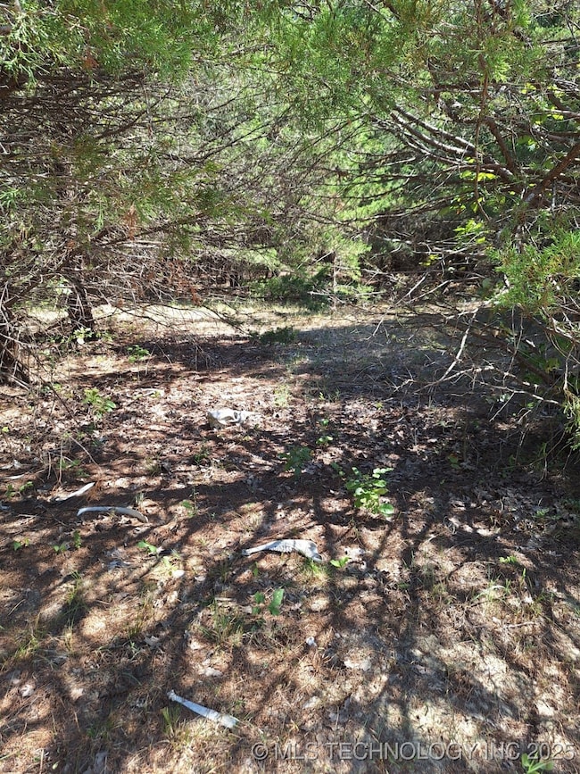 6611 County Road 3665, Allen, OK 74825 - photo 5