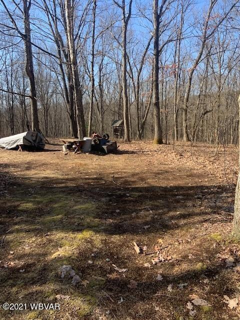 Cleared Site