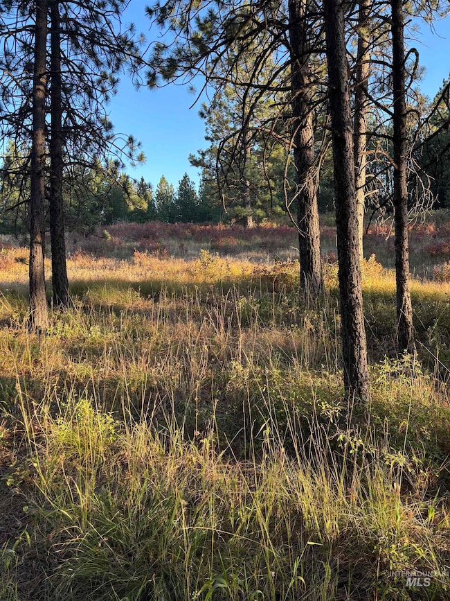 TBD, Asotin, WA 99402 - photo 2