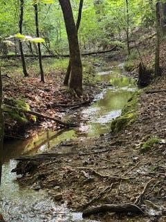 668 Gold Cove Dr, Dahlonega, GA 30533 - photo 3