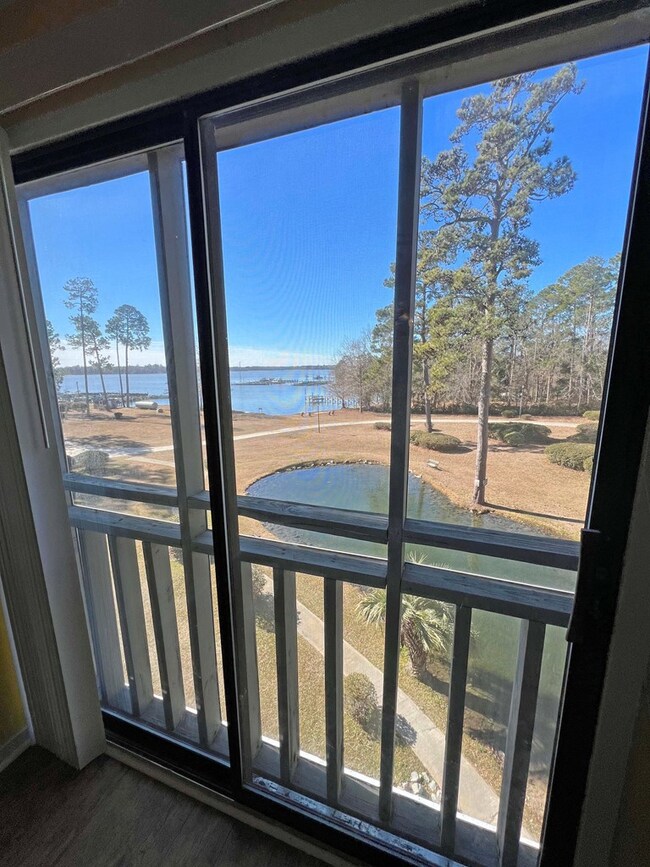 view from Family room