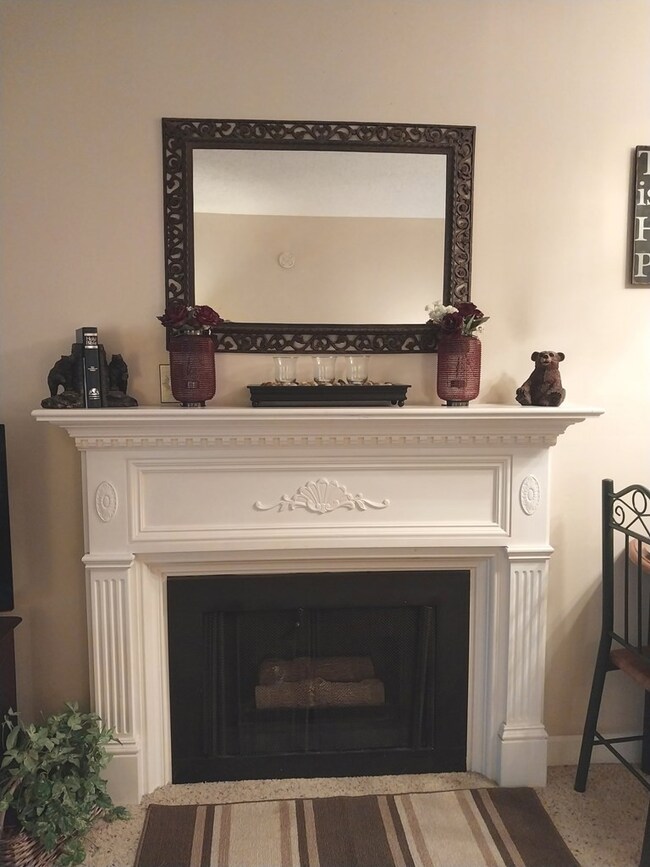 Living room gas log fp