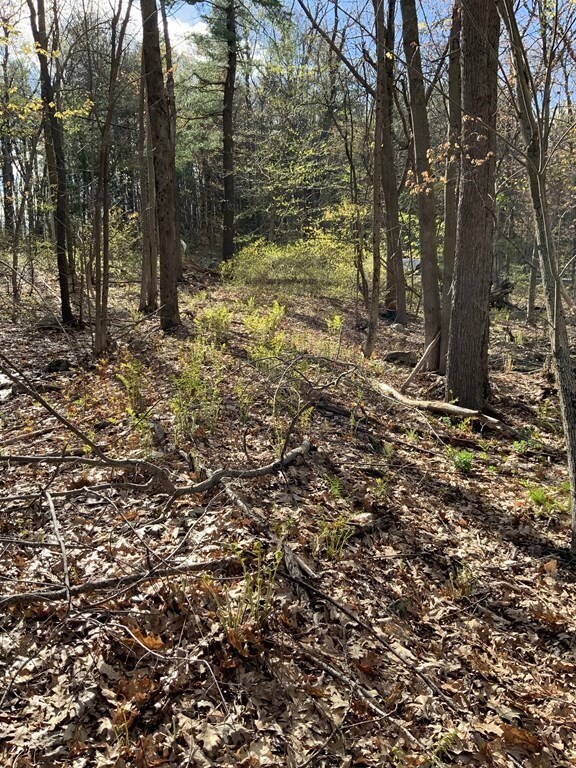 102 Knower Rd, Westminster, MA 01473 - photo 2