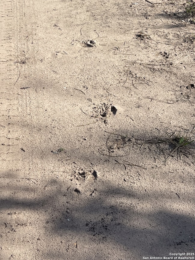 0 Cr 326 unit 1926969, Beeville, TX 78102 - photo 4