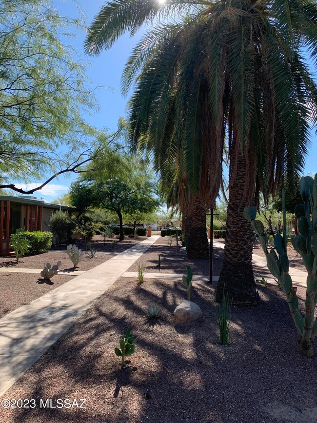 Courtyard View