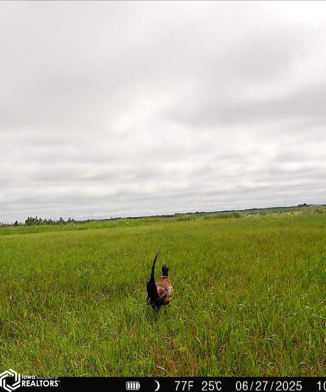 3215 305th St, Dows, IA 50071 - photo 7