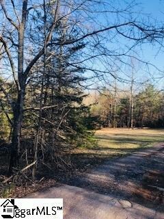 199 Lightning Ln, Travelers Rest, SC 29690 - photo 3