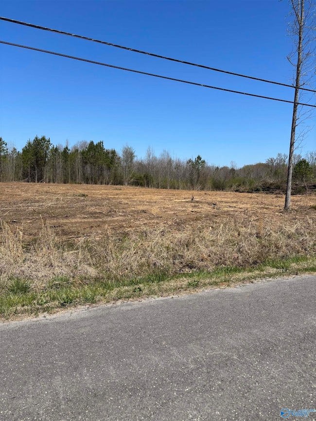 LOT 2 Salem Rd, Hartselle, AL 35640 - photo 2