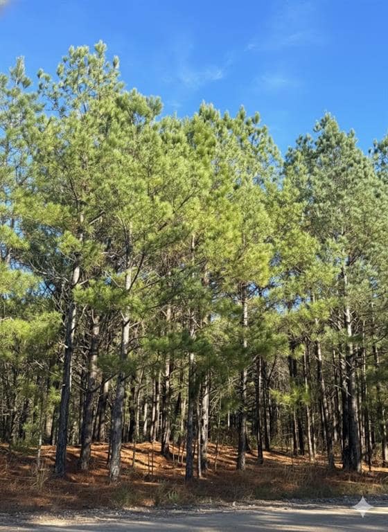 4 Sugarberry Trail, Broken Bow, OK 74728 - photo 2