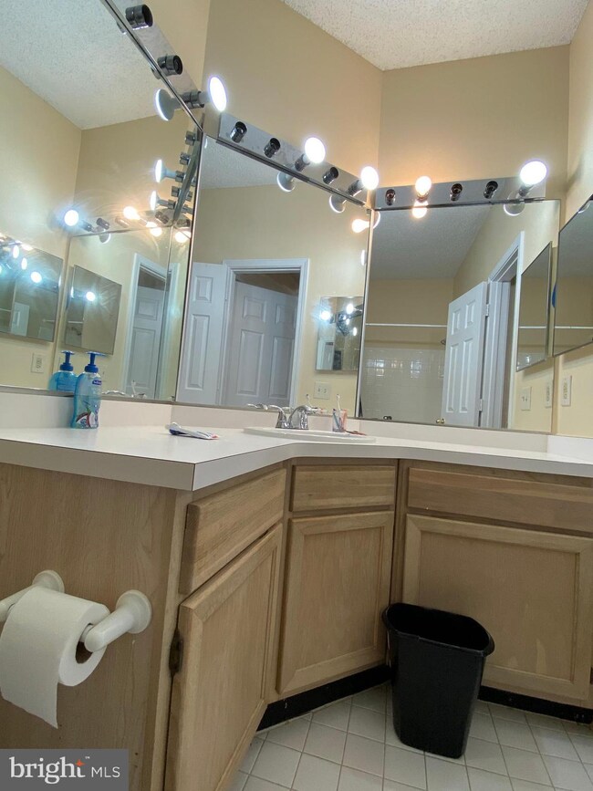 13085 Autumn Woods Way unit 101, Fairfax, VA 22033 - photo 4