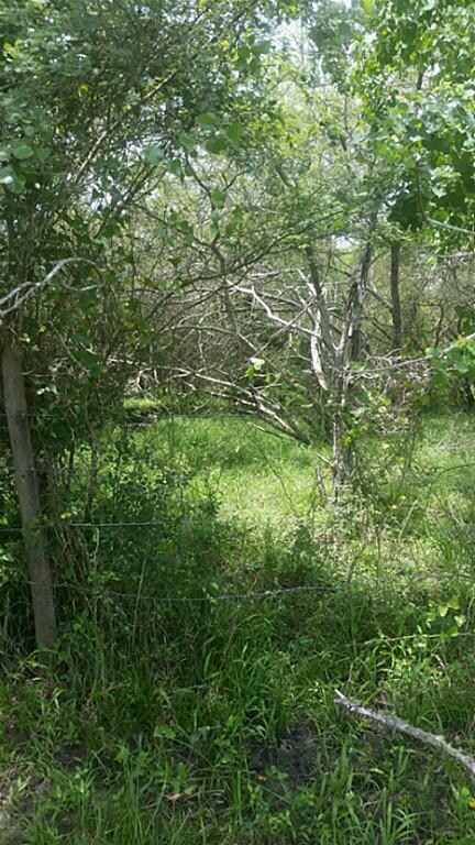 000 Spell Rd, Needville, TX 77461 - photo 5
