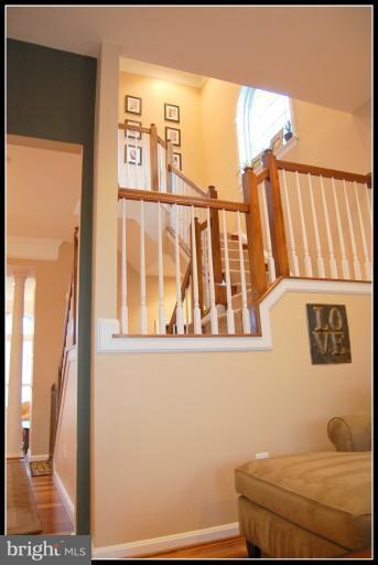 42024 Angel Arch Terrace, Stone Ridge, VA 20105 - photo 4