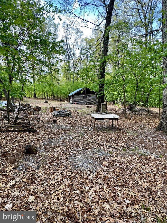 1765 Peters Mountain Ln, Upper Tract, WV 26866 - photo 6