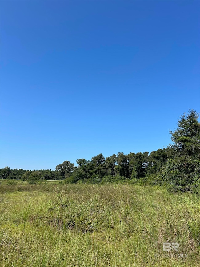 24300 Highway 41, Brewton, AL 36426 - photo 6