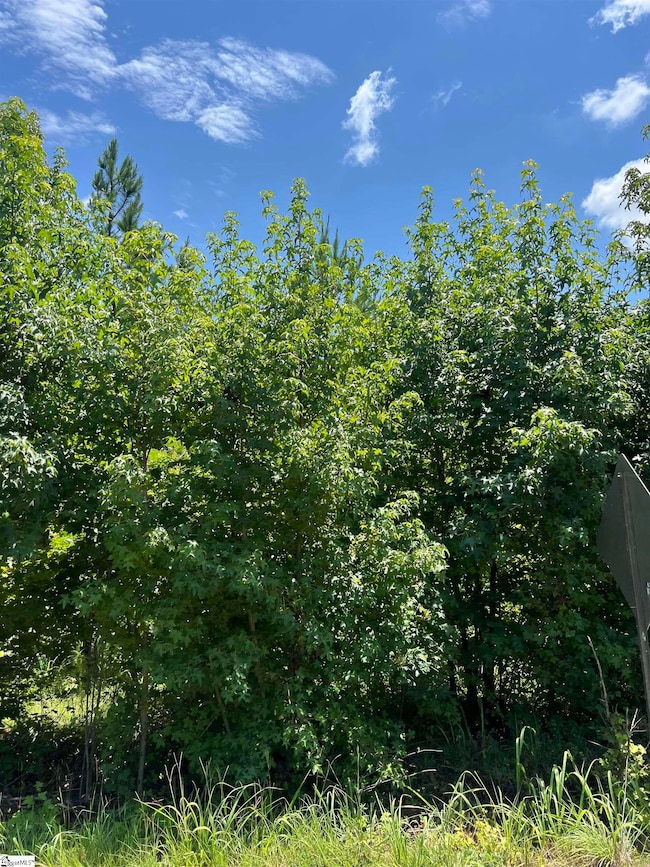 724 Keller Rd, Taylors, SC 29687 - photo 2