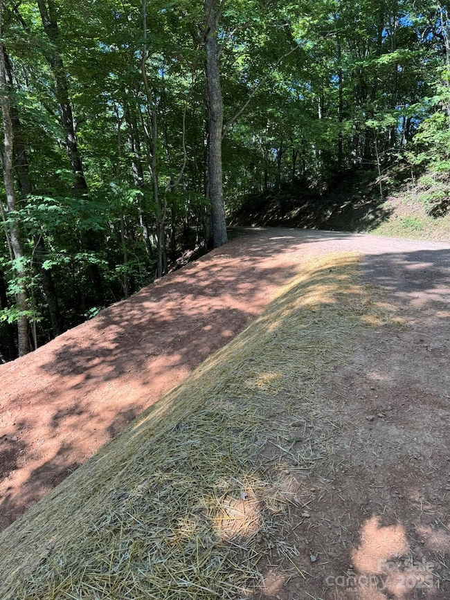 97 Hosta Dr, Sylva, NC 28779 - photo 3
