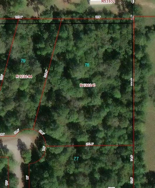 715 Creek Crossing, Magnolia, TX 77355 - photo 2