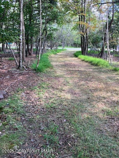 117 Lower Notch Rd, Albrightsville, PA 18210 - photo 3