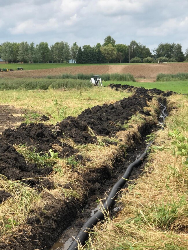 XXXX 280th St E, Webster, MN 55088 - photo 6