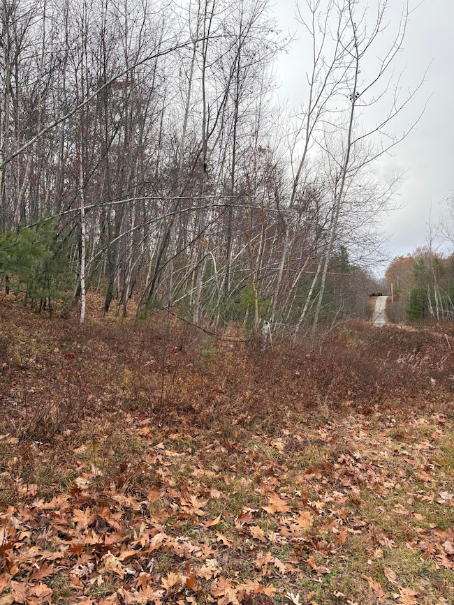 M11 Lot 02 Joseph Way, Waterboro, ME 04030 - photo 3