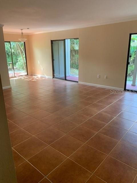 Open Living/Dining