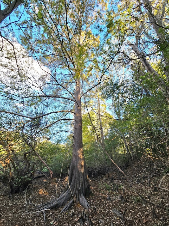 TBD County Road 2167, Cleveland, TX 77327 - photo 4